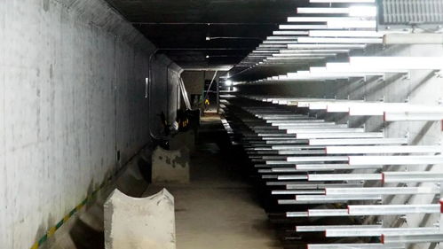 打造城市“生命线”，东海岸新城综合管廊全面启动机电设备安装